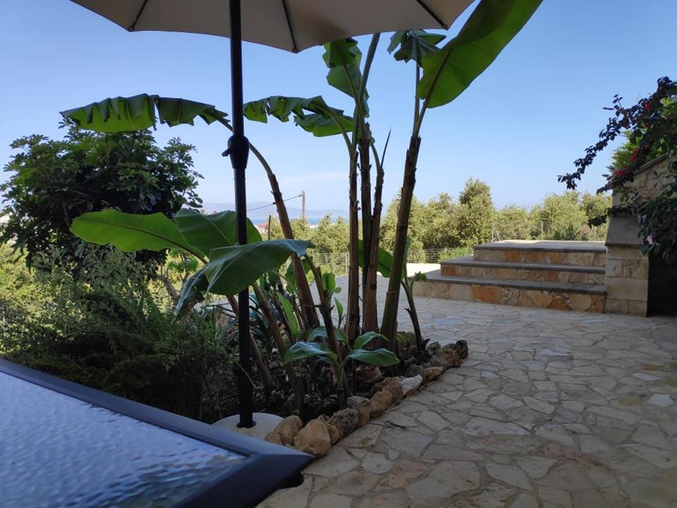 Xenia'S Countryside Guesthouse Agia Marina 外观 照片