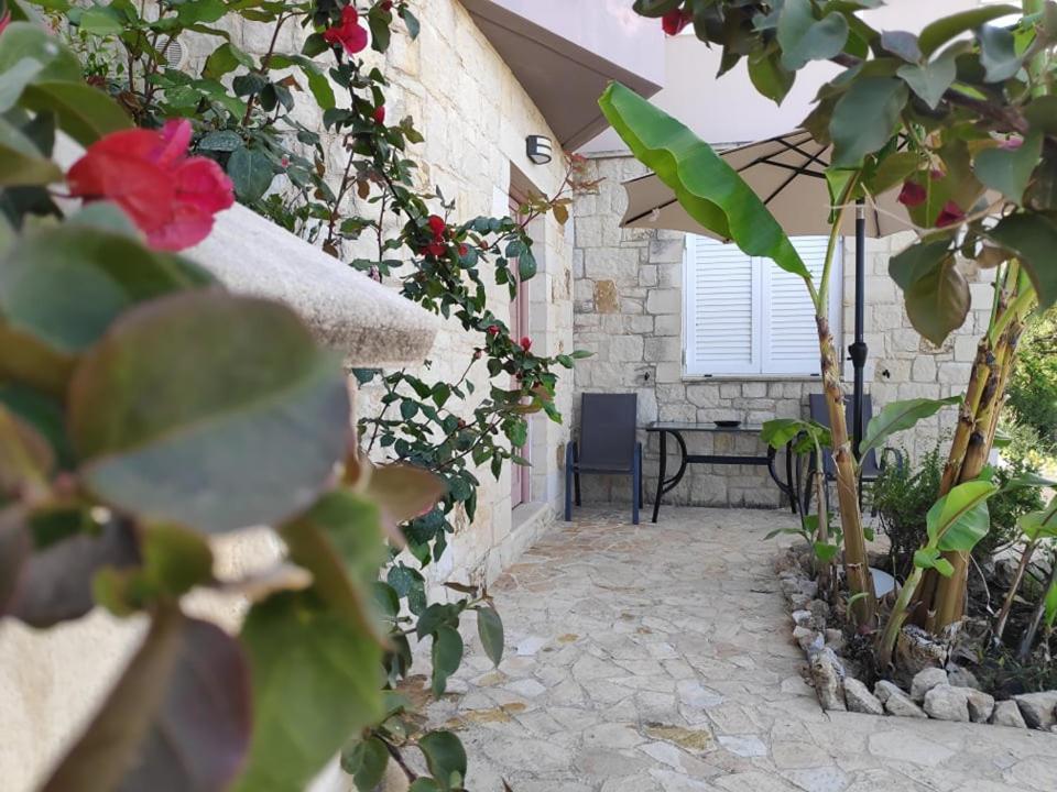 Xenia'S Countryside Guesthouse Agia Marina 外观 照片